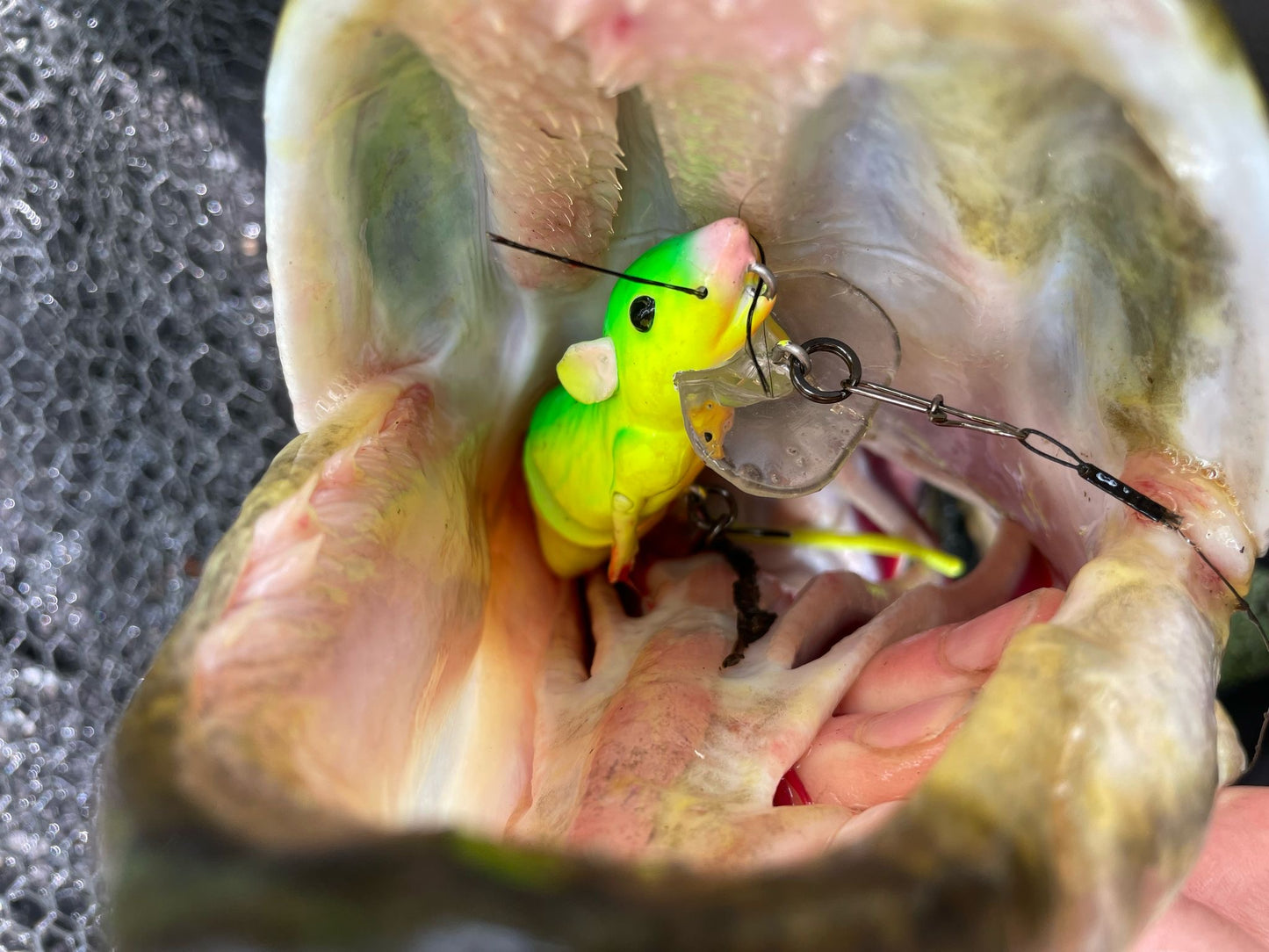 Multistrand 30cm 12lb Finesse Trace Leader Lure Fishing Trace (Finesse Trace) 3 pack